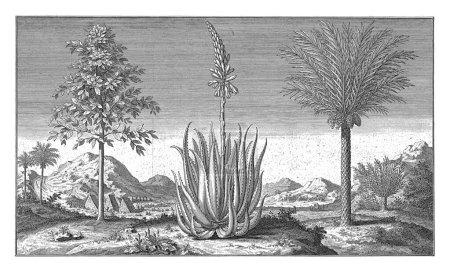 Téléchargez les photos : Paysage avec un groupe d'arbres et de plantes exotiques, Jan Caspar Philips, 1731 - en image libre de droit