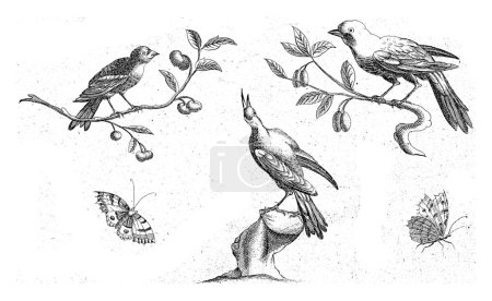Téléchargez les photos : Deux oiseaux sur une branche, un oiseau sur une souche et deux papillons, Pieter Schenk (I) (éventuellement), d'après Pieter Schenk (I), 1675 - 1711 - en image libre de droit