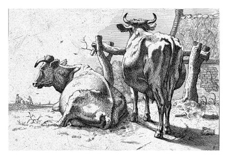 Foto de Dos vacas vistas desde atrás, Paulus Potter, 1650 - 1700, grabado vintage. - Imagen libre de derechos