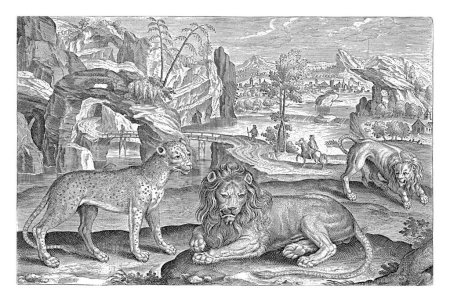 Foto de Leones y leopardo, Adriaen Collaert, 1595 - 1633 Dos leones y un leopardo en primer plano. Al fondo un paisaje con un río. - Imagen libre de derechos