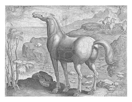 Foto de Zephyros impregna una yegua, Hieronymus Wierix (atribuido a), después de Jan van der Straet, 1583-1587 Zephyros, el viento del oeste, detiene una yegua. Él exhala su aliento sobre su cabeza y la impregna. - Imagen libre de derechos