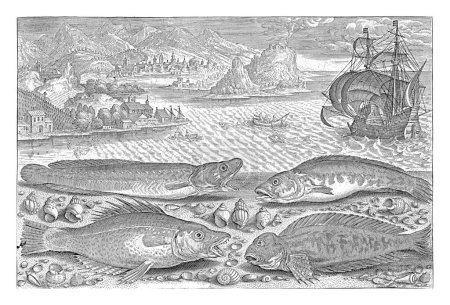 Téléchargez les photos : Quatre poissons sur la plage, Adriaen Collaert, 1627-1636 Une morue, un mérou, un blenny cornu et un poisson noir sont échoués sur la plage avec quelques coquillages. - en image libre de droit