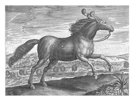 Téléchargez les photos : Cheval d'Arabie, Hans Collaert (I) (attribué à), d'après Jan van der Straet, v. 1578 - c. 1582 Un étalon arabe, de profil. C'est au galop.. - en image libre de droit