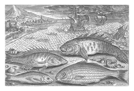 Foto de Cuatro peces en la playa, Adriaen Collaert, 1627 - 1636 Un boxfish, una perca, un gudgeon y un pez desconocido se lavan en la playa junto con algunas conchas. - Imagen libre de derechos