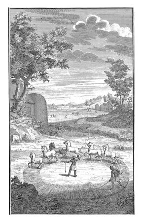 Téléchargez les photos : Battage Khoi, Jan Caspar Philips, 1727 Paysage avec battage du grain Khoi. Ils le font en plaçant les épis de maïs en cercle sur le sol et en laissant les chevaux marcher sur eux. - en image libre de droit