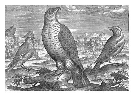 Foto de Tres pájaros en un paisaje, Adriaen Collaert, 1598 - 1602 Un halcón y dos estorninos en primer plano. En el fondo un paisaje con un paisaje urbano. - Imagen libre de derechos