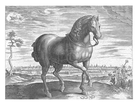 Photo for Horse from Guelders, Hans Collaert (I) (attributed to), after Jan van der Straet, c. 1578 - c. 1582 A Gelders horse, obliquely forward. - Royalty Free Image