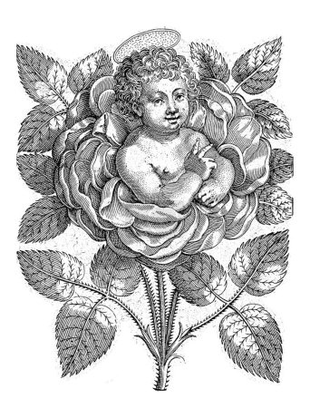 Foto de El Niño Jesús emerge de una rosa, Wierix (posiblemente), 1550 - 1650 El Niño Jesús emerge de una rosa. Hace un gesto de bendición. En el margen una leyenda de tres líneas en latín. - Imagen libre de derechos