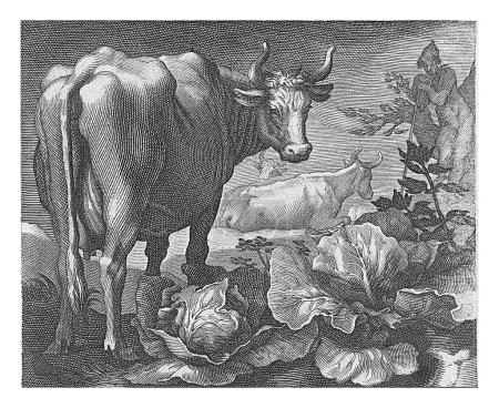 Foto de Vacas, Boetius Adamsz. Bolswert, después de Abraham Bloemaert, 1611 - 1661, grabado vintage. - Imagen libre de derechos
