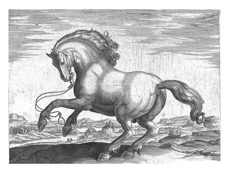 Foto de Caballo de Dinamarca (Danus), Hendrick Goltzius (posiblemente), después de Jan van der Straet, c. 1578 - c. 1582 Un caballo danés. - Imagen libre de derechos