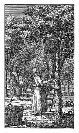 Photo for September: fruit harvest, Jan Caspar Philips, 1736 - 1775 The month of September: men and women picking fruit in an orchard. - Royalty Free Image