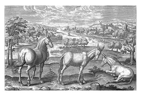 Foto de Caballo y burros, Adriaen Collaert, 1595 - 1599 En primer plano dos burros y un caballo. Al fondo un paisaje con un río. - Imagen libre de derechos