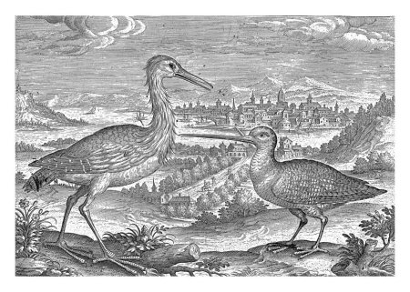 Foto de Dos pájaros en un paisaje, Adriaen Collaert, 1598 - 1618 Una garza y un snipe en un paisaje. En el fondo una vista de una ciudad. El estampado forma parte de una serie con aves como tema. - Imagen libre de derechos