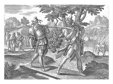 Téléchargez les photos : Retour des scouts de Canaan, Maerten de Vos, 1596 - 1639 Deux des scouts, que Moïse avait envoyés à Canaan, reviennent avec une grande grappe de raisins sur une branche. - en image libre de droit