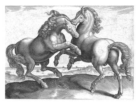 Téléchargez les photos : Chevaux de combat, Hieronymus Wierix (attribué à), d'après Jan van der Straet, v. 1583 - c. 1587 Deux chevaux de combat. L'un des chevaux mord l'autre dans l'oreille. - en image libre de droit