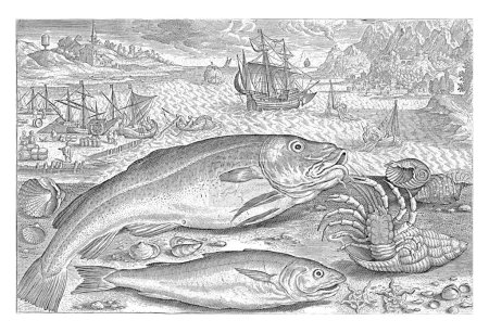 Foto de Dos peces en la playa, Adriaen Collaert, 1627 - 1636 Un bacalao, un merlán y un cangrejo ermitaño, junto con algunas conchas, se lavan en la playa. - Imagen libre de derechos