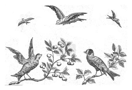 Téléchargez les photos : Deux oiseaux sur une branche et trois oiseaux dans le ciel, Pieter Schenk (I) (éventuellement), d'après Pieter Schenk (I), 1675 - 1711 - en image libre de droit