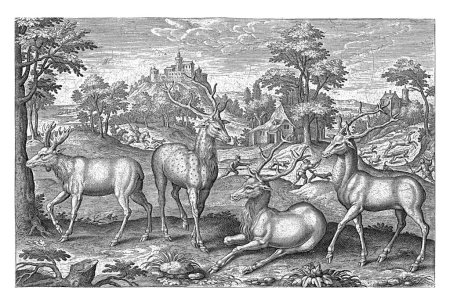 Foto de Ciervo, Adriaen Collaert, 1595 - 1633 Dos ciervos, un ciervo en barbecho y un alce en primer plano. En el fondo una caza de ciervos. La impresión es parte de una serie con animales como tema. - Imagen libre de derechos