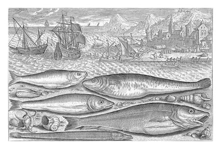 Photo for Five fish on the beach, Adriaen Collaert, 1627 - 1636 A sprat, a carp, a mullet, a small cod and a conger eel are washed up on the beach along with some shells. - Royalty Free Image