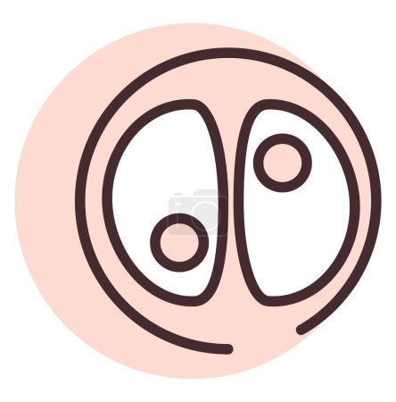 Ilustración de Salud zigote, ilustración o icono, vector sobre fondo blanco. - Imagen libre de derechos