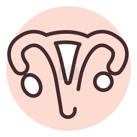 Illustration for Human organ womb, illustration or icon, vector on white background. - Royalty Free Image