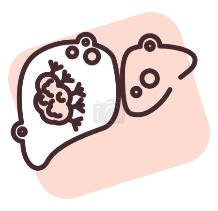 Illustration for Medical liver, illustration or icon, vector on white background. - Royalty Free Image