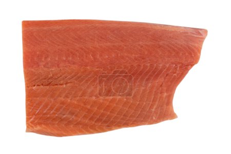 Trout fish fillet isolated on white background. Fresh fillet wild trout isolated on a white. Fresh whole fillet isolated