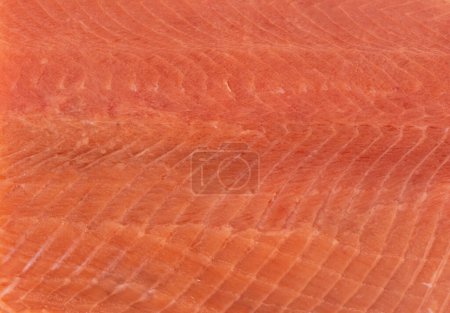 Truite poisson filet texture fond. Truite sauvage fraîche au filet. Surface du filet entier frais