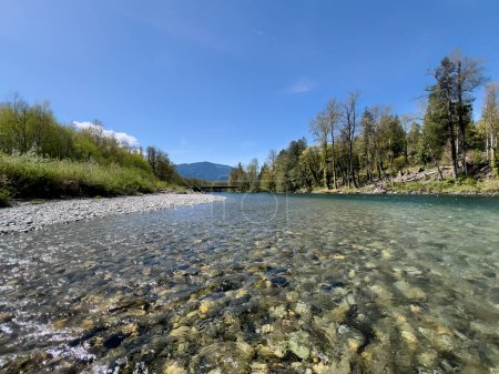 Skagit river flowing towards bridge in Washington state cascade mountains during spring season with clear water and blue sky