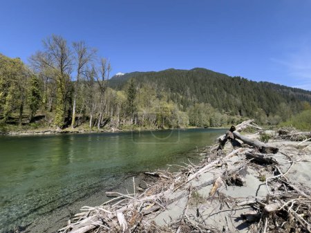 Skagit river in Washington state cascade mountains during spring season with clear water and blue sky