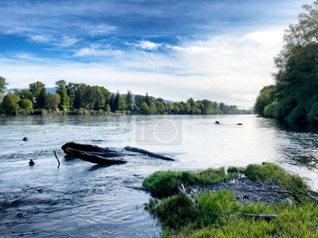 Lower Skagit river near mount Vernon during spring season with trees blooming and cloudy blue sky 