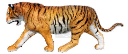 Representación 3D de un tigre gato grande aislado sobre fondo blanco