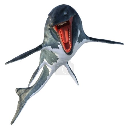 Téléchargez les photos : Rendu 3D d'un grand reptile marin éteint Mosasaur isolé sur fond blanc - en image libre de droit