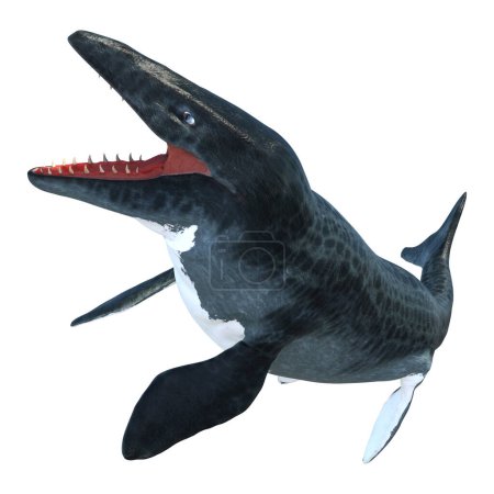 Téléchargez les photos : Rendu 3D d'un grand reptile marin éteint Mosasaur isolé sur fond blanc - en image libre de droit
