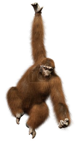 Representación 3D de un mono orangután aislado sobre fondo blanco
