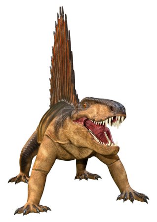 3D-Darstellung eines Dinosauriers Dimetrodon isoliert auf weißem Hintergrund