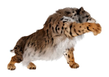 Foto de Representación 3D de un tigre diente de sable aislado sobre fondo blanco - Imagen libre de derechos