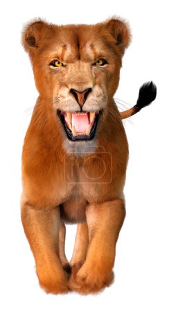 3D rendering of a female lion isolated on white background