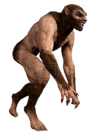 3D rendering of a werewolf or lycanthrope isolated on white background