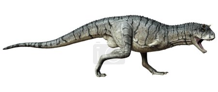 3D rendering of a Carnotaurus Sastrei dinosaur or flesh eating bull isolated on white background