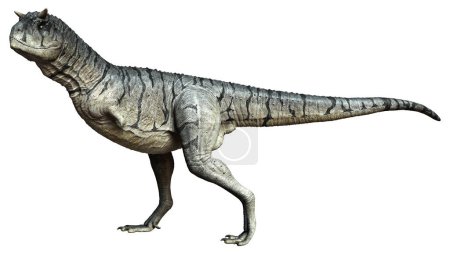 3D rendering of a Carnotaurus Sastrei dinosaur or flesh eating bull isolated on white background