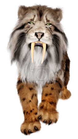 Téléchargez les photos : Rendu 3D d'un tigre à dents de sabre isolé sur fond blanc - en image libre de droit
