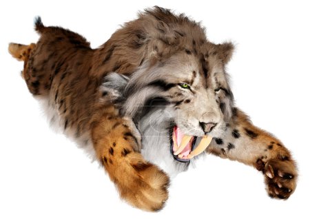 Representación 3D de un tigre dientes de sable aislado sobre fondo blanco