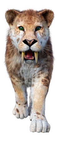 3D rendering of a saber toothed tiger isolated on white background