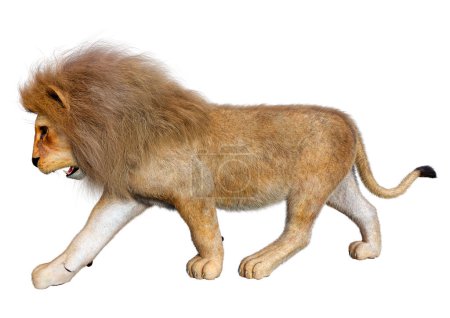 Téléchargez les photos : Rendu 3D d'un lion mâle isolé sur fond blanc - en image libre de droit