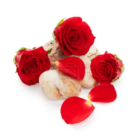 Foto de Pétalos y brotes de rosas rojas. Arreglo de spa con piedras aisladas sobre fondo blanco. Composición zen - Imagen libre de derechos