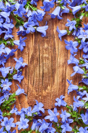 Foto de Fondo de naturaleza muerta de verano con flores de jardín azul sobre una superficie de madera - Imagen libre de derechos