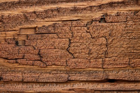 Photo for Aged vintage wooden texture background - Royalty Free Image