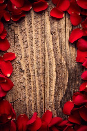 Foto de Marco de pétalos de rosas rojas sobre un fondo de tablones de madera vintage - Imagen libre de derechos