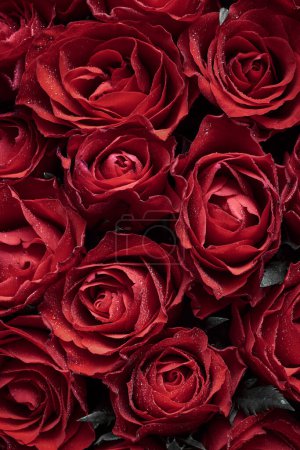 Téléchargez les photos : Fond de roses rouges fleurs - en image libre de droit